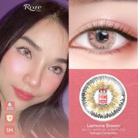 ราคา คอนแทคเลนส์ Hydrogel ขนาดมินิ Brown / GrayLamune (Rozelens) (26355577766)