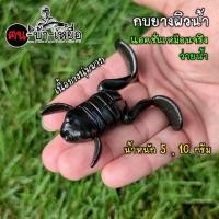 ราคา เหยื่อปลอม กบยาง แอคชั่นว่ายน้ำเหมือนจริง (28756304329)