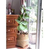 ราคา กระถางกระจูดHandmade (9104344460)