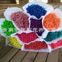 ราคา 【หญ้าคริสตัล】หญ้าคริสตัลดอกแห้งสีย้อมหญ้าคริสตัลดอกไม้ดอกไม้ดอกแห้งช่อดอกไม้ดอกแห้ง (28176075462)