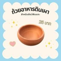 ราคา ถ้วยดินเผาใส่อาหาร หนูแกสบี้ หนูตะเภา และสัตว์อื่นๆ (42961119758)