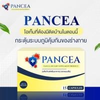 ราคา (ในไลฟ์/วีดีโอ ลด50%) PANCEA แพนเซีย วิตามินเสริม ฟื้นฟูระบบภูมิคุ้มกัน ลดคันคอ แสบตา แพ้ฝุ่น (26984230568)