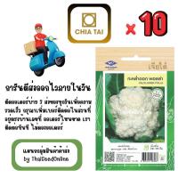 ราคา CTF1 x 10 เมล็ดผักซองเจียไต๋ กะหล่ำดอก พอลล่า สินค้ายกแพ็ค (29642379521)
