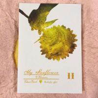 ราคา Fan fiction : My Sunflower เล่ม2 (28174149241)