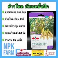 ราคา ผักซอง ศรแดง ข้าวโพด เทียนหมื่นฝัก จำนวน 80 เมล็ด/ซอง ลอตใหม่ งอกดี ปลูกง่าย ข้าวโพดเทียน 3 สี (43372394537)