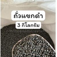 ราคา ถั่วแขกดำ ถั่วแขกดำเพาะงอก (3 กิโลกรัม) ถั่วดำ ถั่วเพาะงอก (41362434578)