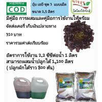 ราคา แม่ปุ๋ย AB เข้มข้น 2.5ลิตร สำหรับพืชไฮโดรโปนิกส์ ผักสลัด ผักไทย ปุ๋ย (25502997937)