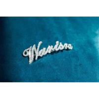 ราคา Pavone Jewelry กิ๊ฟเงินแท้ กิ๊ฟตัวอักษรชื่อ Wariara ฝังเพชร CZ ผลิตจากทองเหลือง ชุบทองคำขาว (G0001) (11600059943)