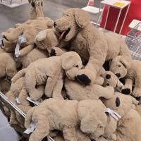 ราคา lKEA ตุ๊กตาหมา โกลเด้น* ตุ๊กตาIKEA ตุ๊กตาน้องหมา ขนาด 40/70 CM GOSIG GOLDEN กูสซิก โกลเด้น (25646309960)