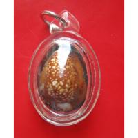 ราคา เบี้ยแก้ หลวงพ่อเกษม เขมโก รุ่นสุริยุปราคา ตะกรุดเงิน ปี 35 พร้อมกล่องเดิม (1820838848)