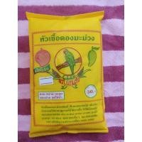 ราคา หัวเชื้อ (ดองมะม่วง) (10718991644)
