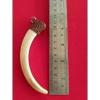 ราคา เขี้ยวหมูป่าถักเชือกสวยๆตามภาพ (41267229819)