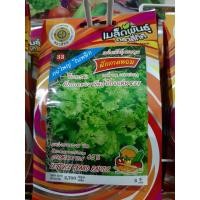 ราคา เมล็ดผักกาดหอม พันธุ์ บิ๊กจอร์น238 สลัด ผักสลัด ตรา 4 ทิศ 10 แถม 1 เมล็ดผัก เมล็ดพันธุ์ สี่ทิศ 4ทิศ (7614864692)