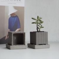 ราคา กระถางเซรามิก กระถางแคคตัส (7150885955)