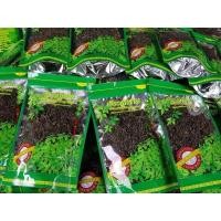ราคา เจียวกู่หลาน ใบเจียวกู่หลาน ขนาด 80 กรัม Jiaogulan (Gynostemma pentaphyllum) ชาเจียวกู่หลาน เจียวกู่หลานชาสมุนไพรแห่ง (29573277364)
