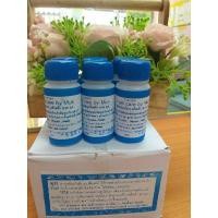 ราคา มุกทาบำรุง ส้นเท้าแตก30 ml.ขวดละ35บาท (25339704524)