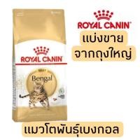 ราคา [แบ่งขาย] อาหารแมว Royal canin สูตร Bangal 500g 800g 1kg สำหรับแมวโตพันธุ์เบงกอล (41607543984)