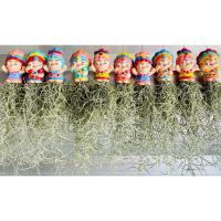 ราคา เคราฤาษีฟอกอากาศ เซ็ตคู่ประดับตุ๊กตาดินเผา พร้อมแขวน (6683195951)