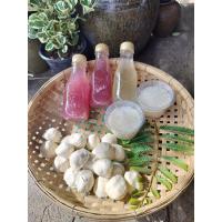 ราคา แป้งสาโท แป้งข้าวหมากหวาน เชื้อแรง มีสูตรการทำให้ทุกออเดอร์ ข้าว 2 กิโลฯ ต่อแป้ง 1 ลูก ชุด 10 ลูก (25431857276)