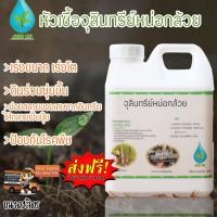 ราคา หัวเชื้อจุลินทรีย์หน่อกล้วยปุ๋ยน้ำชีวภาพ100%ส่งฟรี (6076793836)