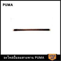 ราคา [ราคาถูก]‍ PUMA สายระบายลงถัง 20" 2 HP 2 สูบ รุ่น PP-22 (23886927970)