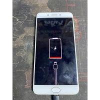 ราคา น่าoppo R9sพลัส ขายงานช่างจอไม่แตกเปิดติดขึ้นรุปตามภาพไม่ทราบอาการ ถาดชิมมี (21355240193)