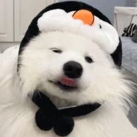 ราคา หมวกสุนัขฤดูหนาวสุนัขขนาดกลางและขนาดใหญ่ลาบราดอร์โกลเด้นรีทรีฟตลกหัวปกอบอุ่นสัตว์เลี้ยงลูกสุนัขหูสุนัขใหญ่ (24296747236)