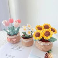 ราคา Yongtal ทิวลิปขนสัตว์ถักโครเชต์กระถางต้นไม้ DIY ผลิตภัณฑ์สําเร็จรูป Little Daisy Country Bouquet วัสดุแพคเกจ Handmade โฮมเมด VZIK (40820344747)