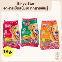 ราคา Bingo Star บิงโกสตาร์ อาหารเม็ดสุนัขโต ทุกสายพันธุ์ ขนาด 1kg (26283965106)