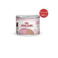 ราคา Royal Canin BabyCat can 195gx12 อาหารเปียกสำหรับลูกแมวและแม่แมวตั้งท้อง Exp. 01/2024 (3548530600)