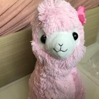 ราคา Alpaca ตุ๊กตาอัลปาก้า สีชมพู น่ารักๆ (795247861)