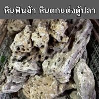ราคา หินฟันม้า หินตกแต่งตู้ปลา บ่อปลา ไม่เป็นอันตรายต่อสัตว์น้ำ กิโลละ 50 บาท (41802730323)