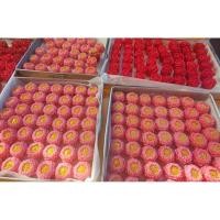 ราคา อาลัวดอกบัวพับกลีบ3.5เซน (23661195060)