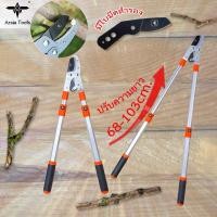 ราคา กรรไกรตัดกิ่งยืดด้าม กรรไกรตัดผลไม้,กิ่งไม้ (22237455649)