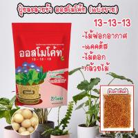 ราคา (แบ่งขาย) ออสโมโค้ท Osmocote ปุ๋ยออสโมโค้ท สูตร 13-13-13 ปุ๋ยแคคตัส ปุ๋ยบำรุงต้น และไม้ประดับทุกชนิด ปุ๋ยละลายช้า (17682068501)