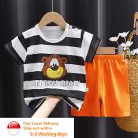 ราคา SG SUMMER KIDS BABY TSHIRT SET ผ้าฝ้าย 100% (43803143617)