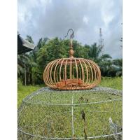 ราคา กรงพาต่อนกเขาใหญ่หวายแท้ทั้งใบ(ขอบหวายซี่หวาย) (25320687184)