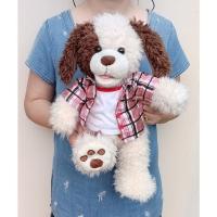 ราคา ตุ๊กตาสุนัขบิ้วอะแบร์ + เสื้อบิ้วแท้ รุ่น Build A Bear Shaggy Dog Cream & Brown Puppy ขนาด 17 นิ้ว (19833935053)