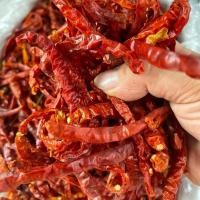 ราคา (ยอดสนเด็ด) พริกแห้งยอดสนเด็ด ขนาด 100 กรัม เน้นกลิ่นหอม (28391706259)