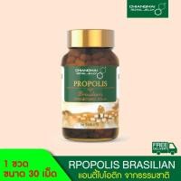 ราคา โพรโพลิส บราซิล เสริมภูมิคุ้มกัน ลดภูมิแพ้ ชนิดเม็ด 30 เม็ด Chiangmai Royal Jelly / Propolis Brasill Tablet 30 Tabs. (6964078283)