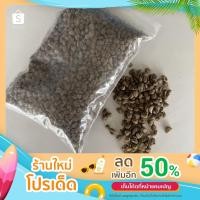 ราคา หินภูเขาไฟ หินโรยหน้ากระถาง หินผสมดินสำหรับปลูก (16242603643)