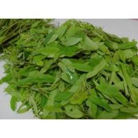 ราคา ใบขี้เหล็กออกแกนิคเก็บสด(บรรจุ100/250กรัม) (29577566059)