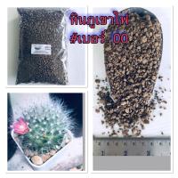 ราคา หินภูเขาไฟ เบอร์ 00 สำหรับผสมดินปลูกหรือใช้ล่อรากแคคตัส (5158134283)