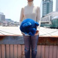 ราคา ตุ๊กตา ช้าง กลม ตาโต สีน้ำเงิน 12นิ้ว Anee Park (7224239954)