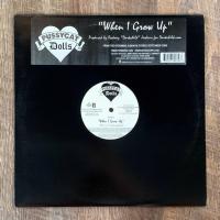 ราคา แผ่นเสียง Pussycat dolls vinyl lp single 12”(VG+) (24245405585)
