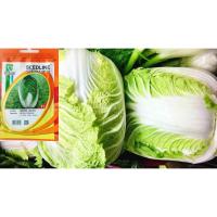 ราคา เมล็ดผักกาดขาว 500 เมล็ด ผักกาดขาว เมล็ดผักกาดเขียว เมล็ดผักกาด เมล็ดผักกาดหัว ผักกาดขาวปลี ผักกาดขาวเบา ผักกาดขาวจีน12 (15422418946)