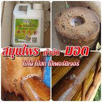 ราคา สเปรย์กำจัดมอด สมุนไพรกำจัดมอด ซุ้มไม้ไผ่ บ้านไม้ไผ่ ไม้เฟอร์นิเจอร์ เสาบ้าน ต้นไม้สด มด ปลวก แมลง (5079121321)