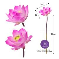ราคา Handitop ช่อดอกบัวบาน ดอกบัวปลอม ยาว 69 ซม. หนึ่งดอกมี 15 กลีบ ขนาดดอกเมื่อกางกลีบออก 20-22.5 ซ.ม. (8119871958)