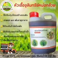 ราคา จุลินทรีย์หน่อกล้วยขนาด1ลิตร (3904144671)