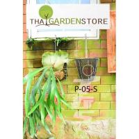 ราคา กระเช้าแสตนเลสเฟิร์นชายผ้าสีดา P-05 เหมาะกับเฟินชนิดที่ไม่มีพัพ(หัวเดี่ยว) ไม่มีสนิมตลอดชีพ (4340219829)